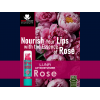 LUNA LIP MOISTURIZER ROSE FLAVOR 3.5 GM
